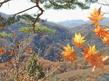 松滋打胎什么药好点（打胎比较好的药）